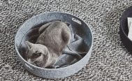 MiaCara Unica Cat Blanket - Danish Design Co Singapore