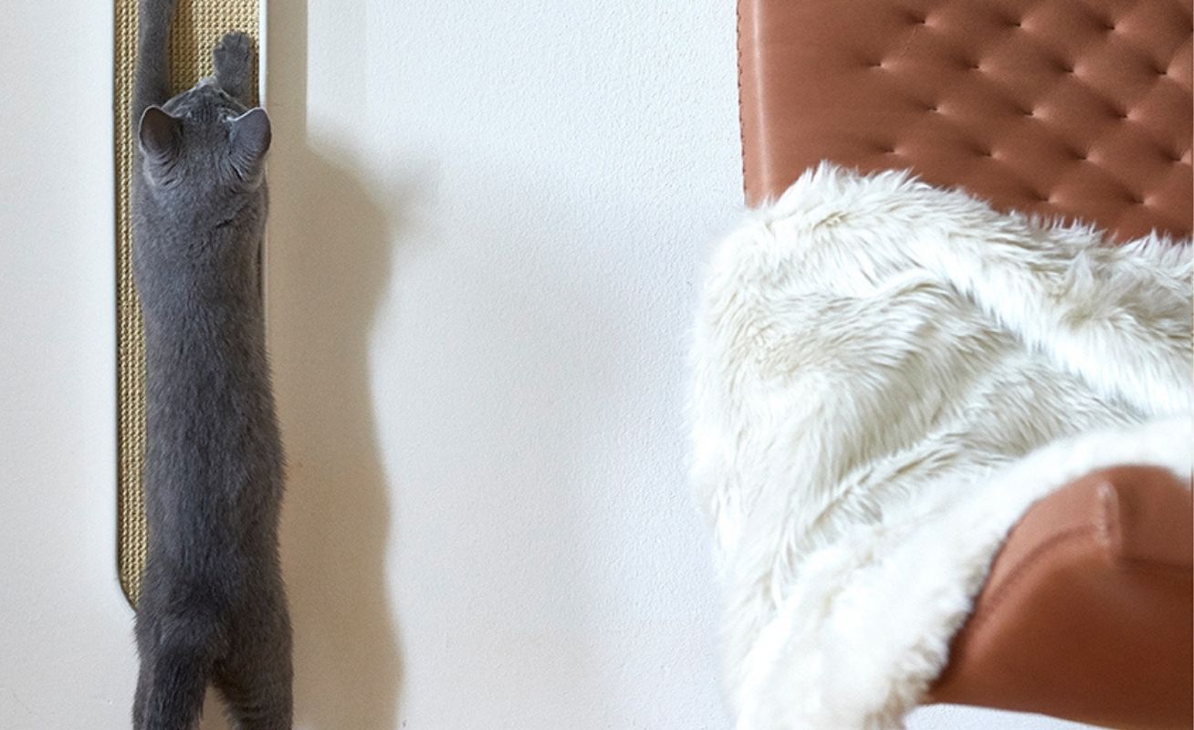 MiaCara Lana Cat Blanket - Danish Design Co Singapore