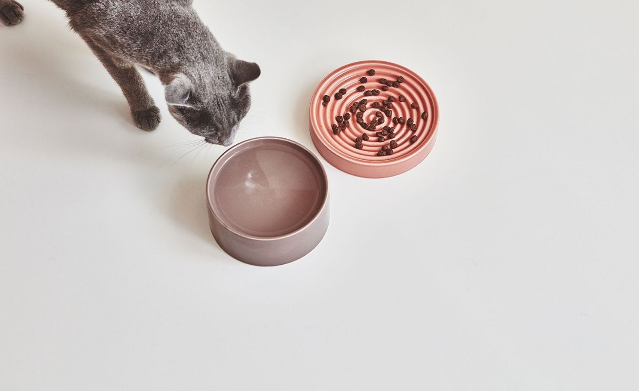 MiaCara Fresco Cat Bowl - Danish Design Co Singapore