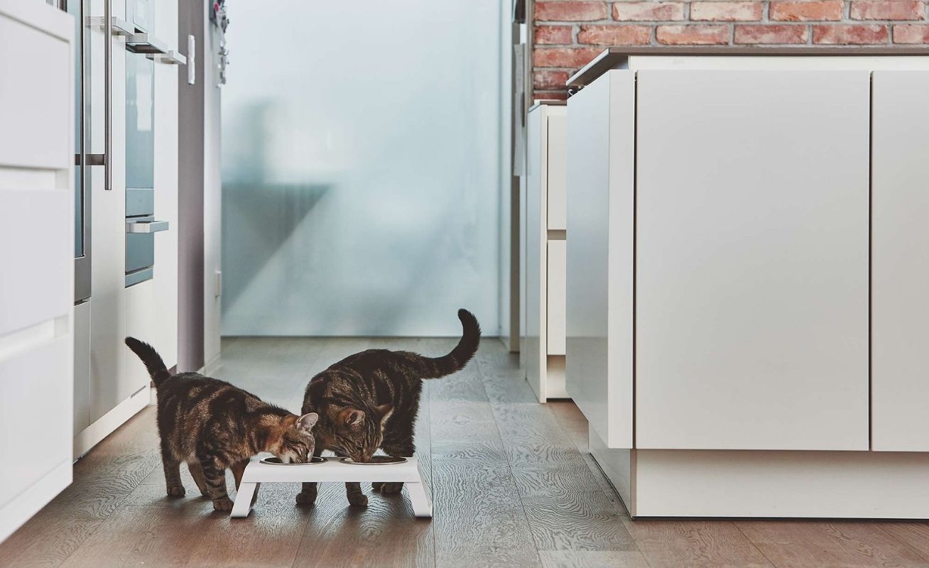 MiaCara Desco Cat Feeder - Danish Design Co Singapore