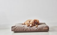 MiaCara Stella Dog Cushion - Danish Design Co Singapore