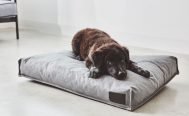 MiaCara Divo Dog Cushion - Danish Design Co Singapore
