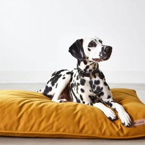 MiaCara Stella Dog Cushion in size Large and in colour Saffron