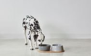 MiaCara Doppio Dog Bowl Tray Set - Danish Design Co Singapore