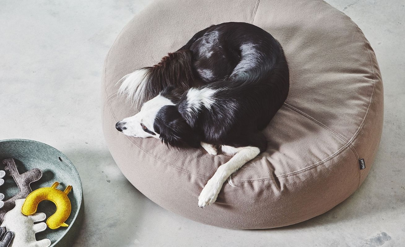 MiaCara Stella Dog Pouffe - Danish Design Co Singapore