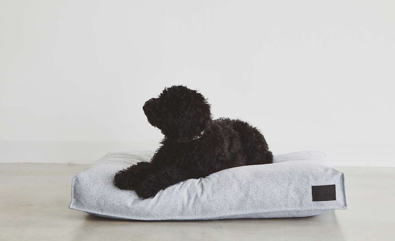MiaCara Divo Dog Cushion - Danish Design Co Singapore