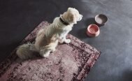 MiaCara Doppio Dog Bowl Tray Set - Danish Design Co Singapore