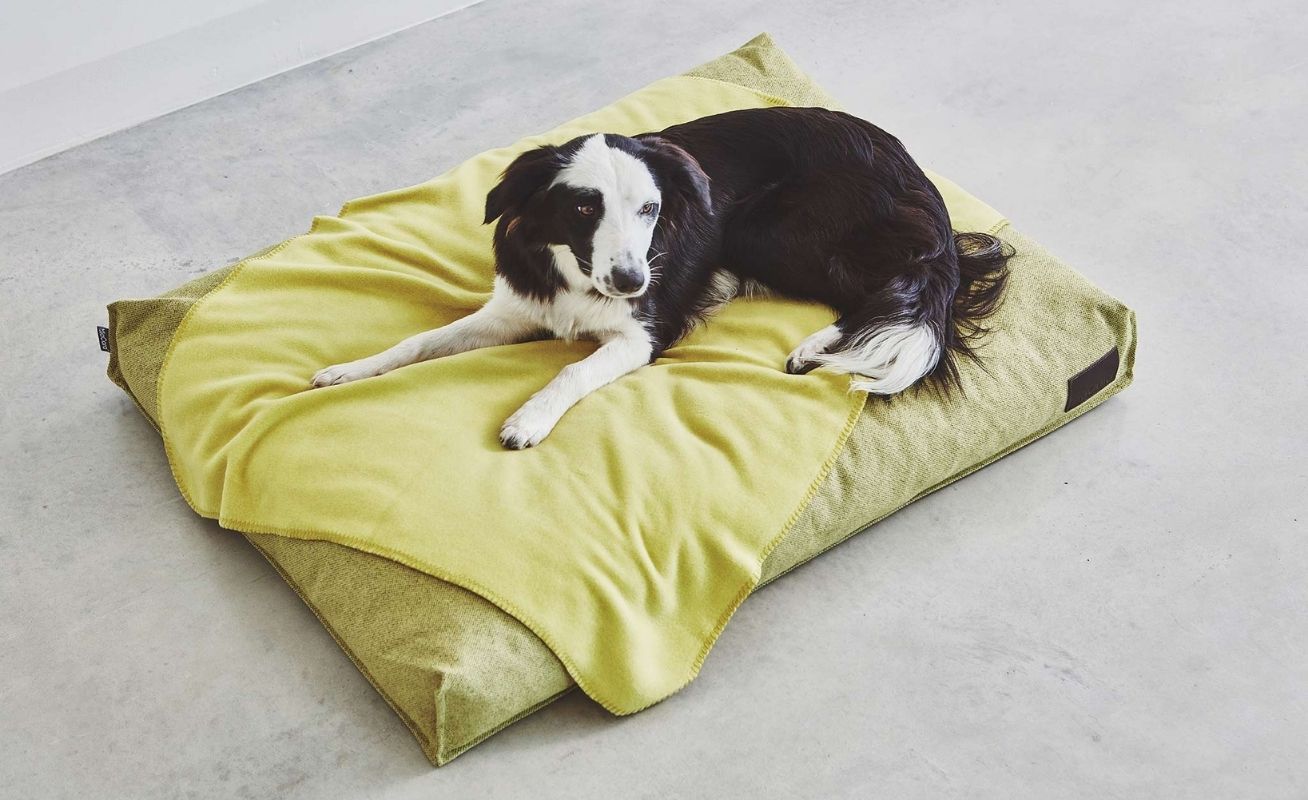 MiaCara Unica Dog Fleece Blanket - Danish Design Co Singapore