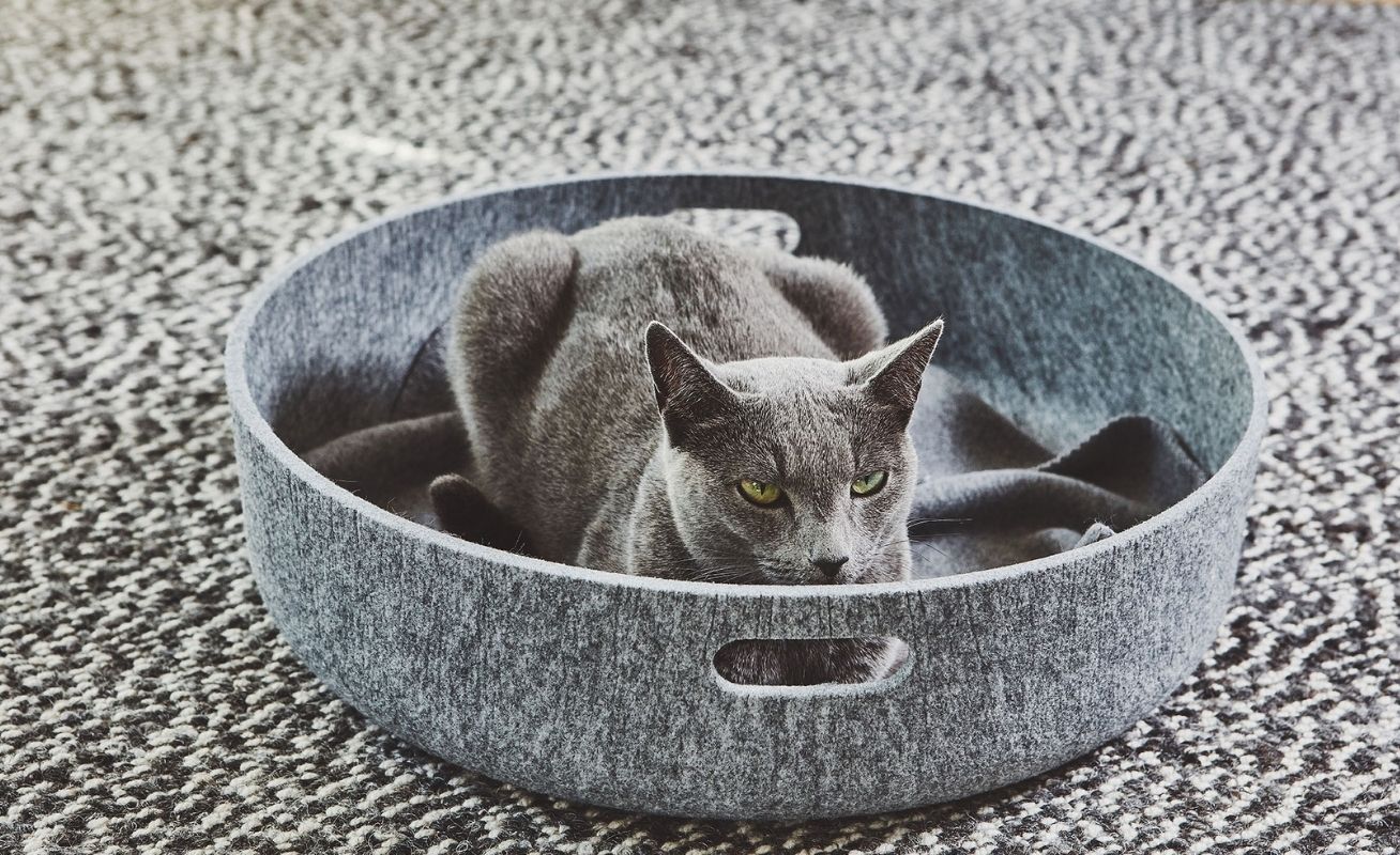 MiaCara Cestro Cat Basket - Danish Design Co Singapore
