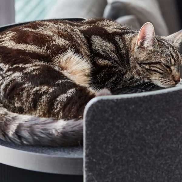 MiaCara Torre Cat Tower Scratcher - Danish Design Co Singapore