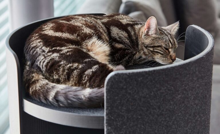 MiaCara Torre Cat Tower Scratcher - Danish Design Co Singapore