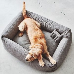 MiaCara Stella Dog Box Bed - Danish Design Co Singapore