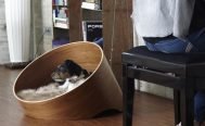MiaCara Covo Dog Bed - Danish Design Co Singapore