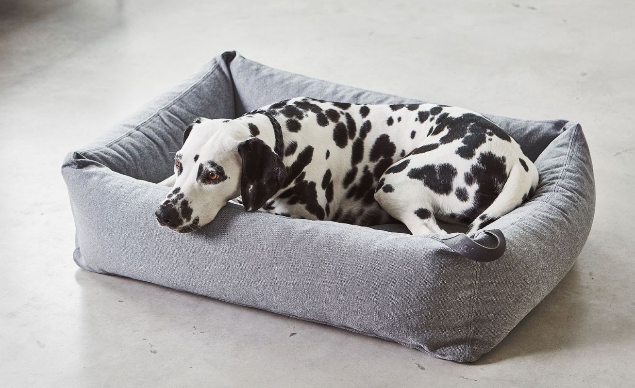 MiaCara Stella Dog Box Bed - Danish Design Co Singapore