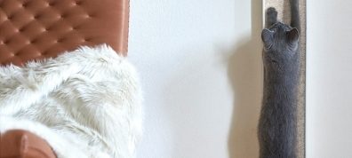 MiaCara Cat Blankets - Luxury Pet Furniture at Danish Design Co