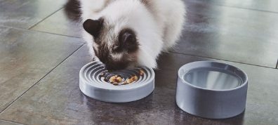 MiaCara Cat Bowl and Cat Feeder - Luxury Pet Furniture at Danish Design Co