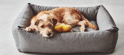 MiaCara Dog Beds - Luxury Pet Furniture at Danish Design Co