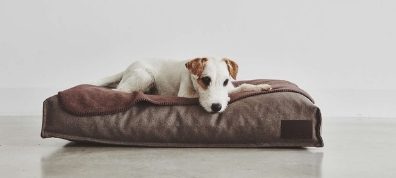 MiaCara Dog Cushions - Luxury Pet Furniture at Danish Design Co - MiaCara Dog Cushions - Luxury Pet Furniture at Danish Design Co