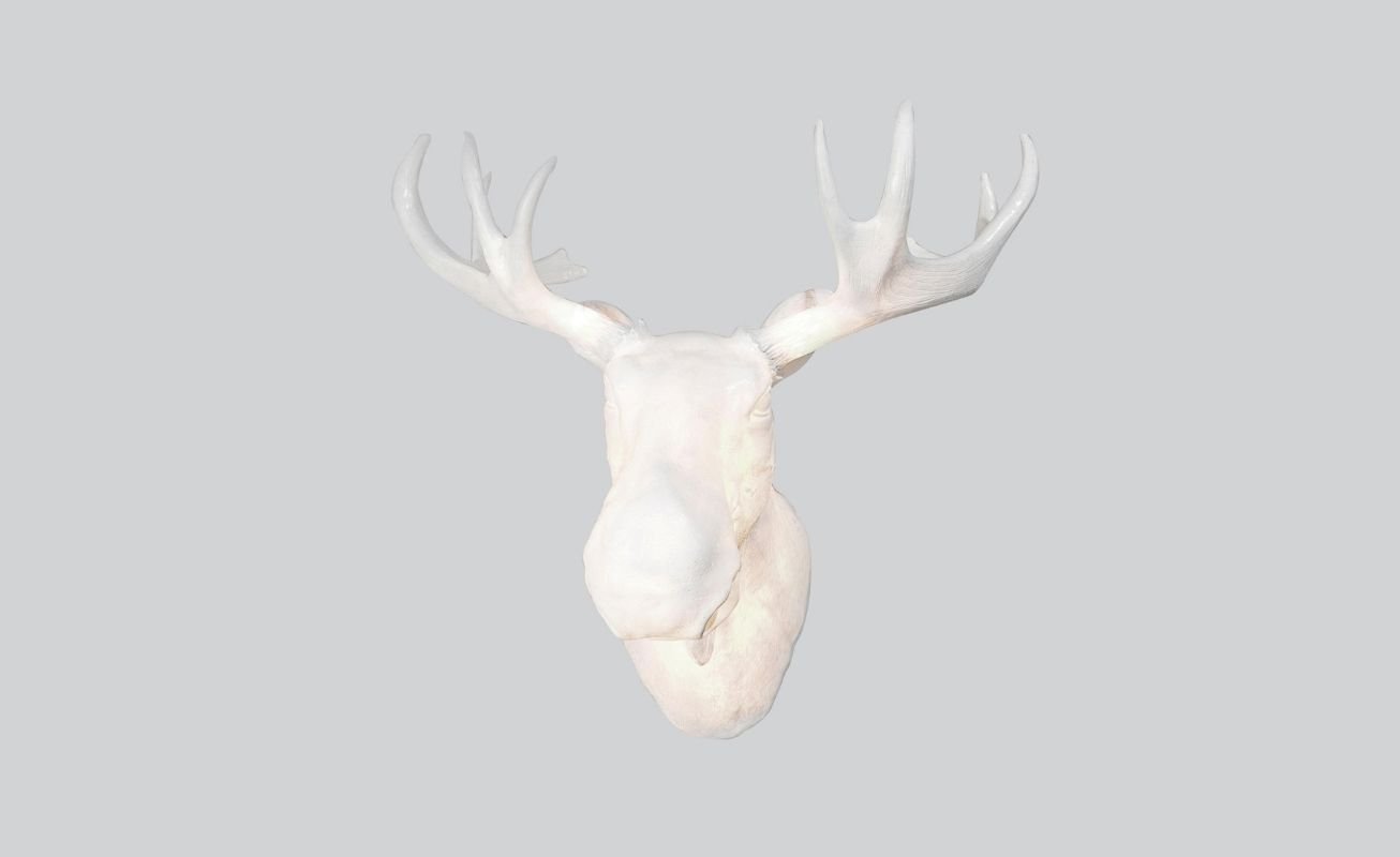 Moo Wall Lamp