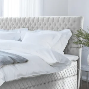 Cropped_Image (8) (1) (1)